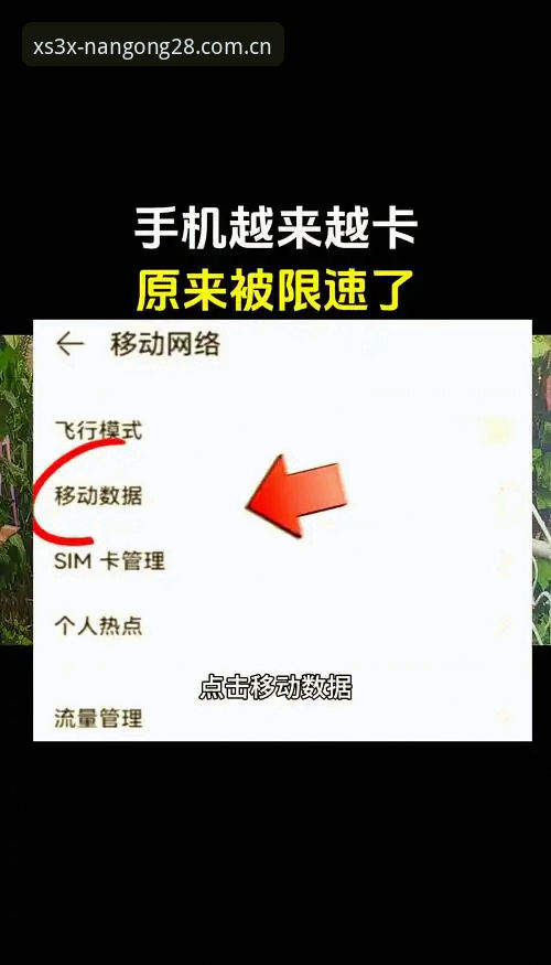上个月我蹲了三天南宫注册通道，试了六种不同网络环境，结果发现最卡的那一步到底是什么？