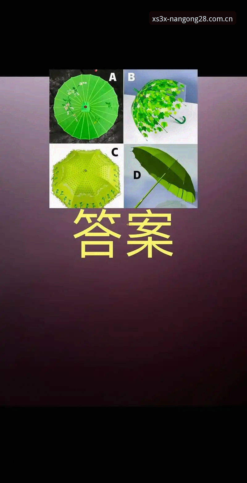 南宫注册通道到底好不好用？一个老用户花了一个月测试，答案可能和你想的不一样