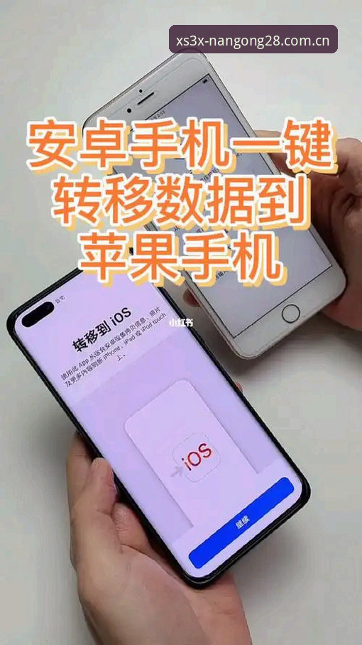 南宫xs3x登录实操避坑指南：从注册到数据解读的完整教程